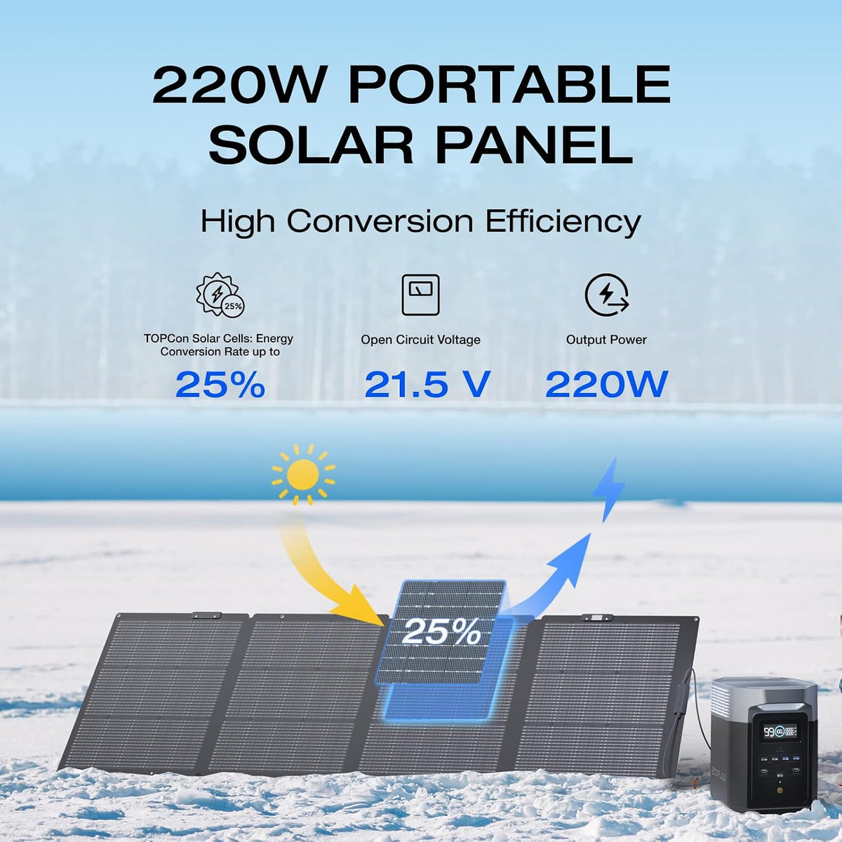 220W Portable Foldable Solar Pane